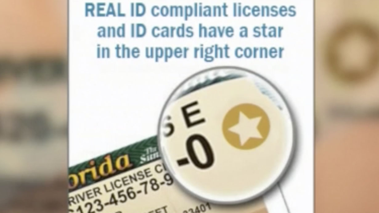 Identificación De Tijuana Fake Id